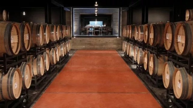 Esta es la bodega recomendada por los viajeros de Trip Advisor en 2020: los secretos de Pulenta Estate (y sus vinos destacados)