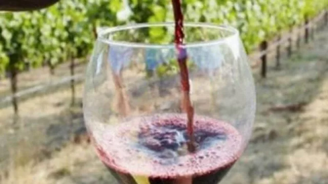 La Asociación de Viñateros de Mendoza avala la creación del Banco de Vinos