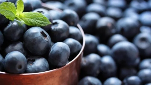 La importancia de la producción de arándanos en los valles tucumanos