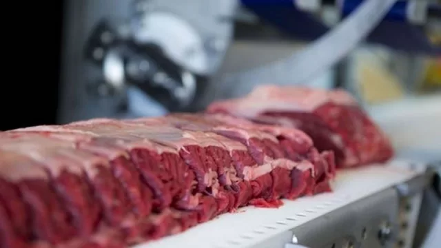 Vaticinan que exportaciones cárnicas paraguayas pegarían un salto importante en 2021