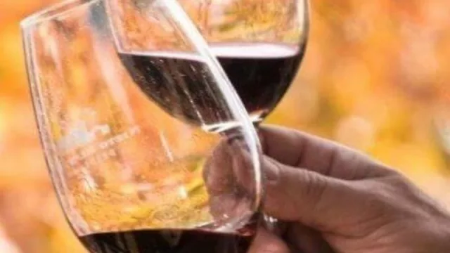 ¿Quién se ha tomado todo el vino? Por el efecto pandemia el consumo en la Argentina ha tenido la mayor suba en siete años