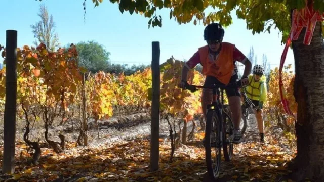Andar en bicicleta entre viñedos, comer un asado y degustar un vino: abre de Mendoza al país el primer bike park enfocado al mundo del vino y el arte