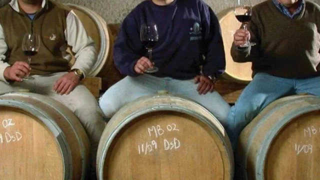 Un salto al futuro: la bodega familiar de Angel Mendoza se transforma en cuarentena e instala un sistema de energía solar que la convierte en autosustentable