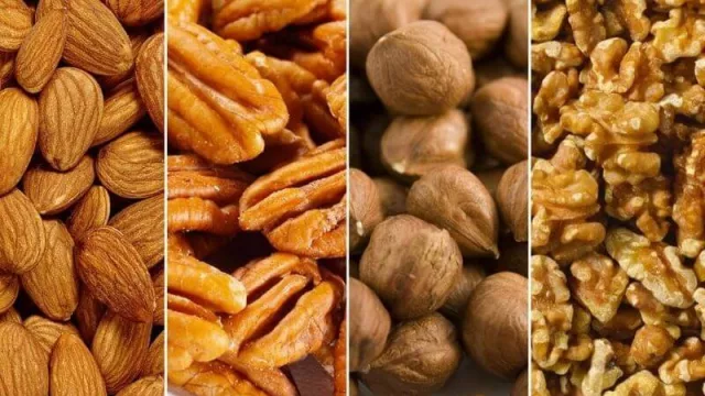 Exportaciones de nueces de Neuquén y Río Negro pueden crecer 20 por ciento este año