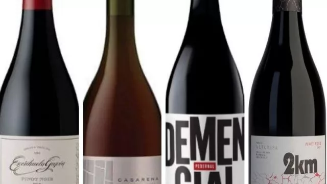 5 Pinot Noir argentinos para celebrar su día mundial