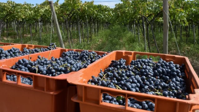 La Coviar  presentó un plan para el crecimiento de las exportaciones y mejora de la competitividad