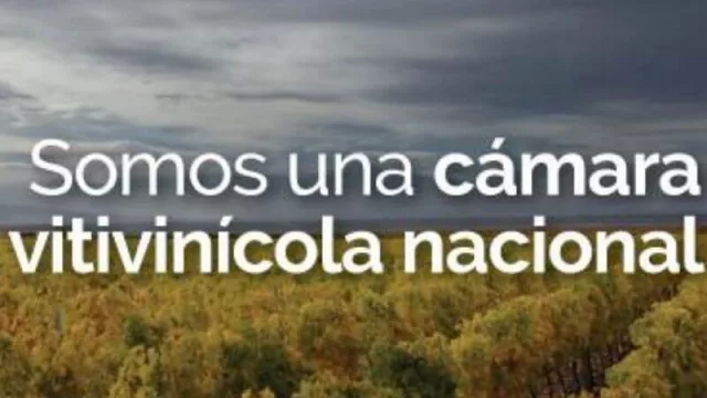 En busca de exportaciones y trabajo: Bodegas de Argentina se une al Consejo Industrial Argentino