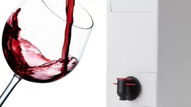Bag in box: uno de los mejores envases para el vino y también el más incomprendido en la Argentina (precios y recomendados) 