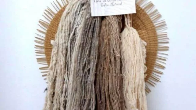 Un trabajo silencioso: las tejedoras de Lavalle ya ofrecen sus productos artesanales en la Ciudad de Mendoza (catálogos y precios)