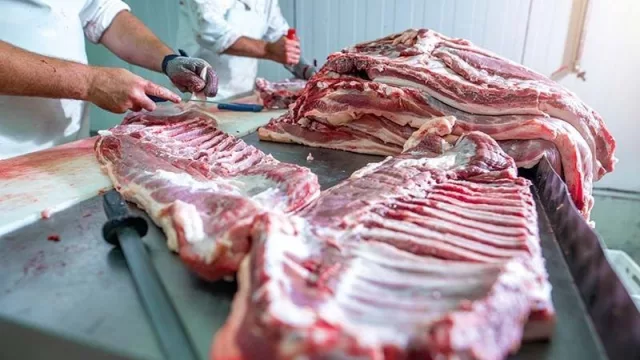 Sudáfrica vuelve a decir sí a carne paraguaya (EE.UU. sería el próximo)
