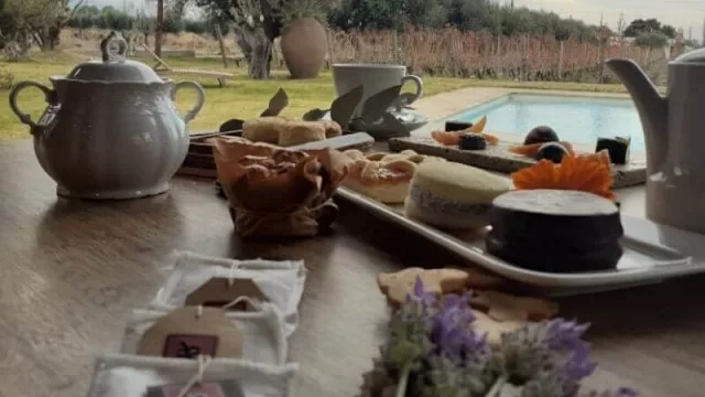 Desde mañana regresa la propuesta de Yoga por los Caminos del Vino (con varias opciones cada semana)