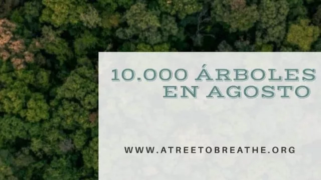"A Tree To Breathe" invita a sumarse a personas, empresas e instituciones a su objetivo de  "10.000 Árboles en agosto"