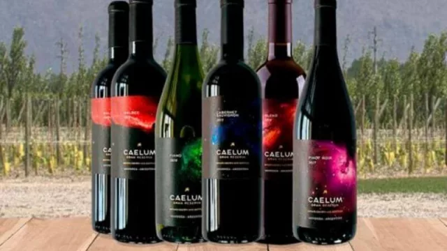 Más bodegas desarrollan y abren sus e-commerce (antes y durante la cuarentena): cuáles son los casos de éxito 