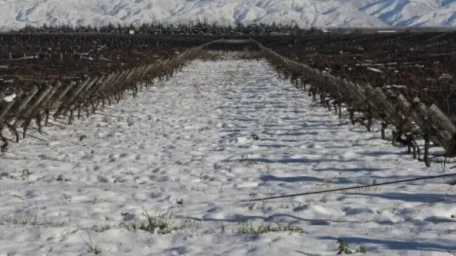 ¡Salud! Mendoza será sede de la Asamblea Anual de las Grandes Capitales del Vino 2022