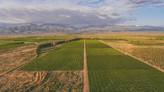 Qué es "la bodega aérea vía terrestre" y en qué beneficia a Mendoza y el interior (logro de ACAC)