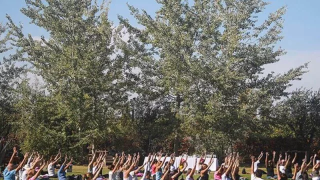 Día Internacional del Yoga: celebración en Mendoza con Yoga por los Caminos del Vino