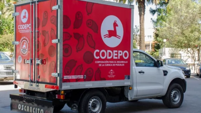 ¿Cuál es la importancia del consumo de productos de camélidos y cultivos andinos?