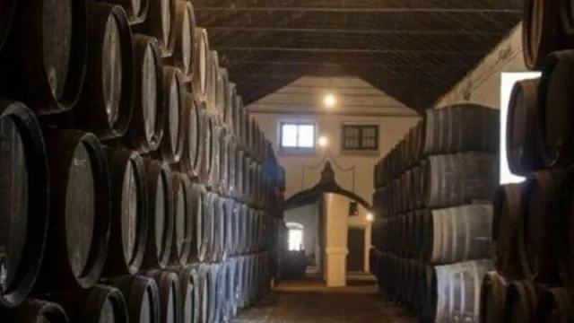 El INV anunció que facilitará a las bodegas la creación y uso de nuevas marcas 