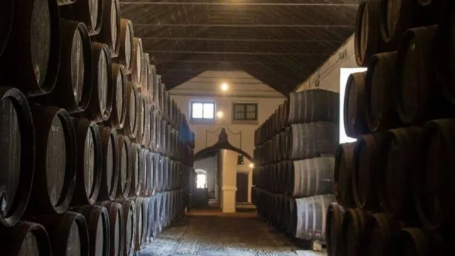 Bodegas elaboran un protocolo post COVID-19 para mostrar cómo se preparan para reabrir al turismo
