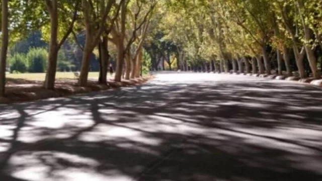 Está todo dado para volver a correr pero ¿los parques y las calles seguirán vacíos?
