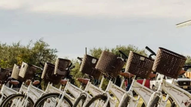 Wine and Ride cedió sus bicicletas para ayudar a vecinos de Maipú durante el aislamiento