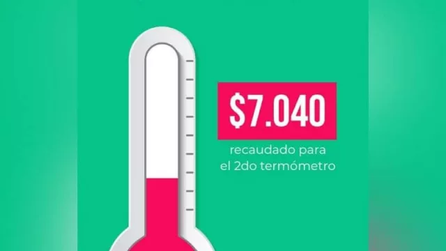 Dos emprendedoras crearon una web para donar termómetros infrarrojos a hospitales de Mendoza (ya compraron el primero y van por más)