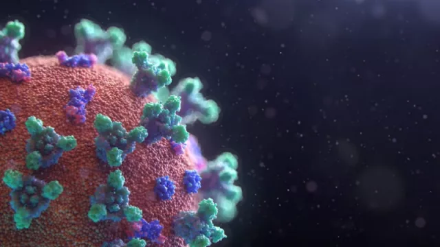 E-Care Solution: monitoreo a pacientes desde su casa