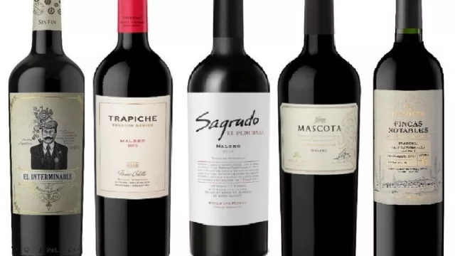 De norte a sur: 10 Malbec que le hacen honor al vino argentino