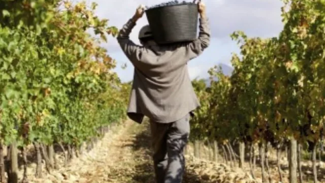 La Coviar lanza un plan de acciones para contrarrestar los efectos de la pandemia 