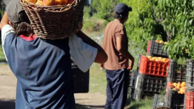 Comienza en Mendoza la incubación de 46 proyectos de emprendedores agrícolas 