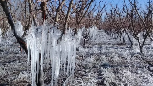 Riego anti heladas, tecnología al servicio de los productores agrícolas