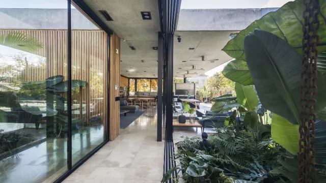 Las plantas, superaliadas para enjoyar nuestros espacios