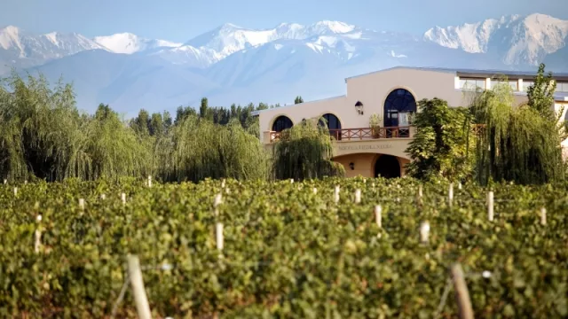 Piedra Negra invierte dos millones y medio de dólares en Mendoza