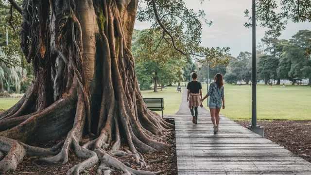 La Red de Polinizadores Mendocinos suma aliados para luchar contra el cambio climático