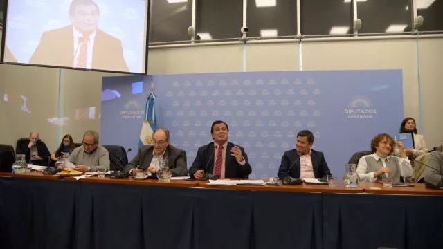 Diputados: obtuvo dictamen la ley de promoción de la bio y nanotecnología