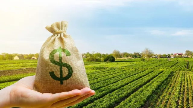 Las previsiones que hablan de "un récord histórico de ingresos de dólares" e ilusionan al Gobierno