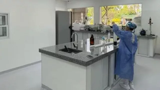 Obtuvieron en Misiones la primera muestra de aceite de cannabis