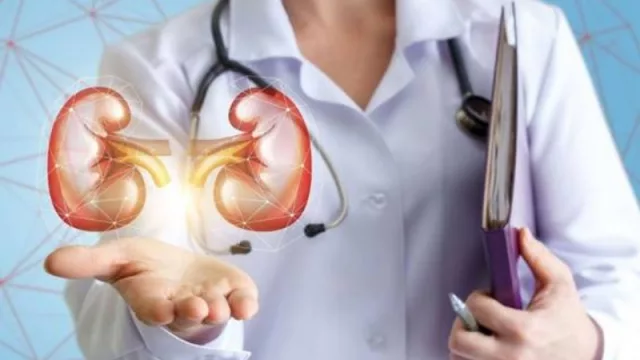 Mendoza, sede del XXIII Congreso Argentino de Nefrología