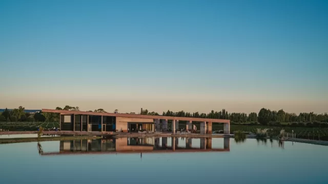 Yoga por los Caminos del Vino y un especial de Yoga y Tai Chi