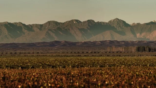 Grupo Avinea participa del Programa de Adopción Temprana (COP) del Pacto Global de Naciones Unidas
