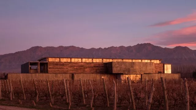 Bodega MAAL abre sus puertas al turismo