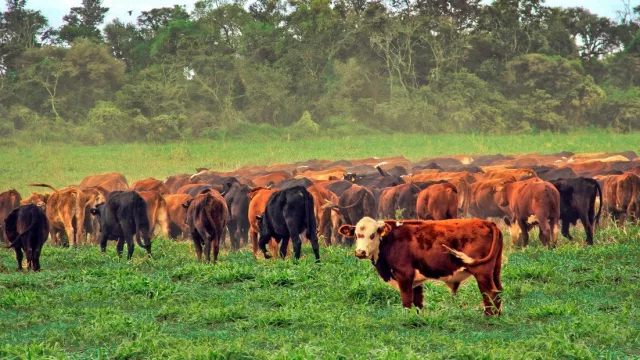 Préstamos para la conectividad en zonas rurales y turísticas