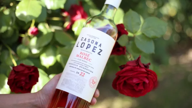 Cuatro nuevos lanzamientos en Bodegas López