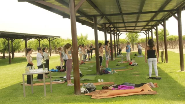 Yoga por los Caminos del Vino arranca su ciclo en noviembre en Viña Las Perdices