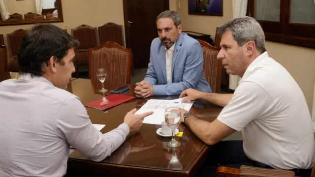 El mercado vitivinícola en San Juan según el INV