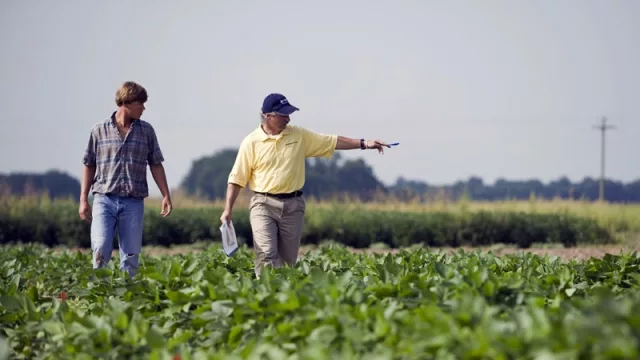 El IDC amplía su equipo profesional y abre nueva convocatoria (para renovar contenidos y adaptarse a las necesidades del sector)