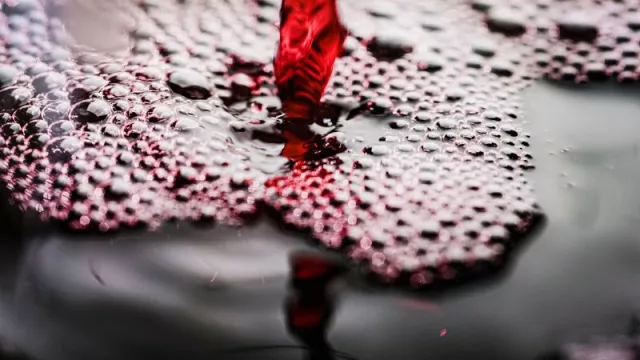 El vino a granel argentino, tendrá presencia en ProWein 2023