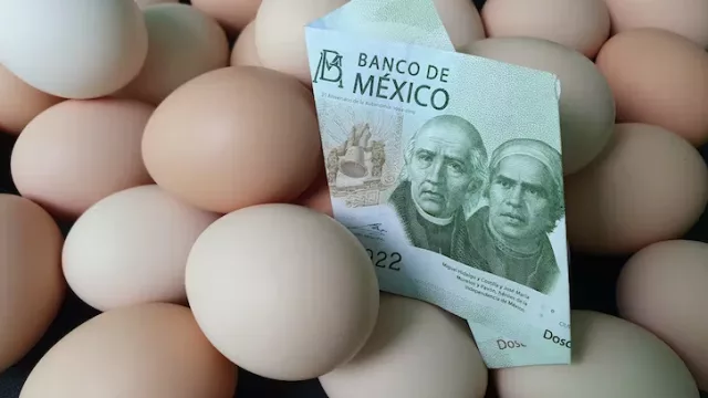 Crisis en las cocinas mexicanas: sube el precio de los huevos y empuja los de otros productos de la canasta básica