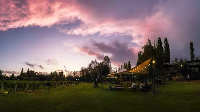 Atardeceres en la Finquita 1920 (se vienen con una exclusiva agenda de eventos)