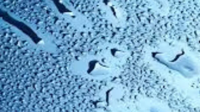 Responsabilidad empresaria: cada vez más empresas miden la huella hídrica en Mendoza